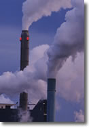 Lo smog rende gli uomini ermafroditi